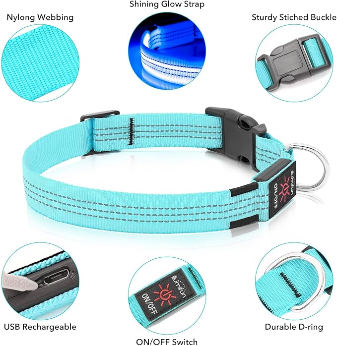 Illumifun Light Up Dog Collar, USB Rechargeable LED Dog Collar, Adjustable Reflective Lighted Pet Collar for Night Walking Camping (BlueⅢ, Large)