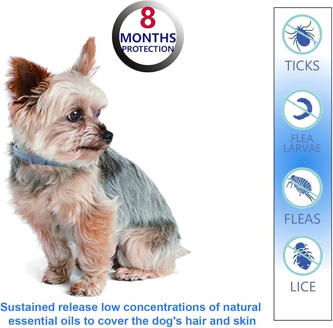 Natural Ingredients Flea Repellent Collar for Small Dogs, Safe and Effective Flea and Tick Repellent, Waterproof, 8 Months Protection per Collar, Free Comb, 13.8 Inches, 2-Pack