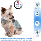 Natural Ingredients Flea Repellent Collar for Small Dogs, Safe and Effective Flea and Tick Repellent, Waterproof, 8 Months Protection per Collar, Free Comb, 13.8 Inches, 2-Pack
