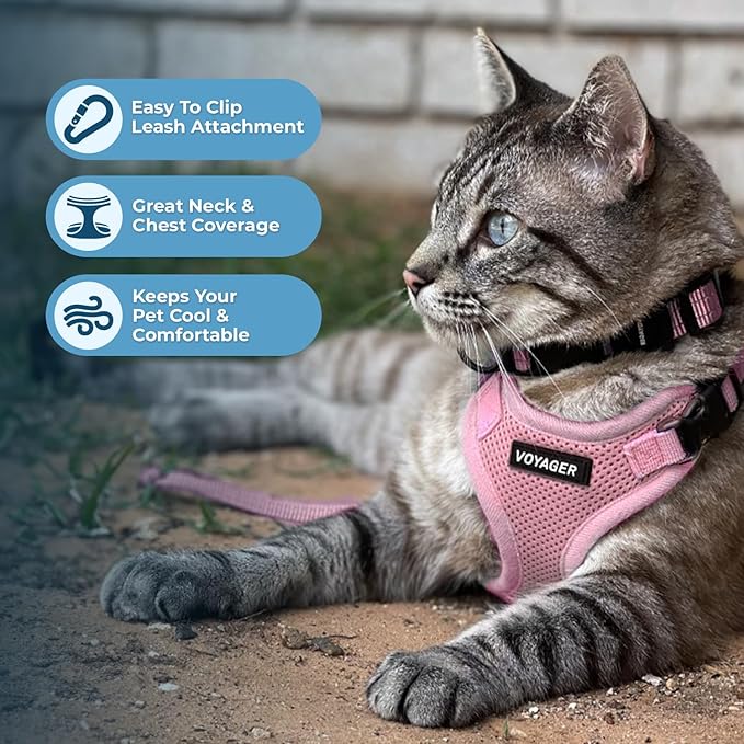 Voyager Escape-Proof Step-in Lock Cat Harness & 5ft Neoprene-Handle Leash Set All-Weather Mesh with Reflective Stitching for Small to Large Cats by Best Pet Supplies, Pink, XXXS