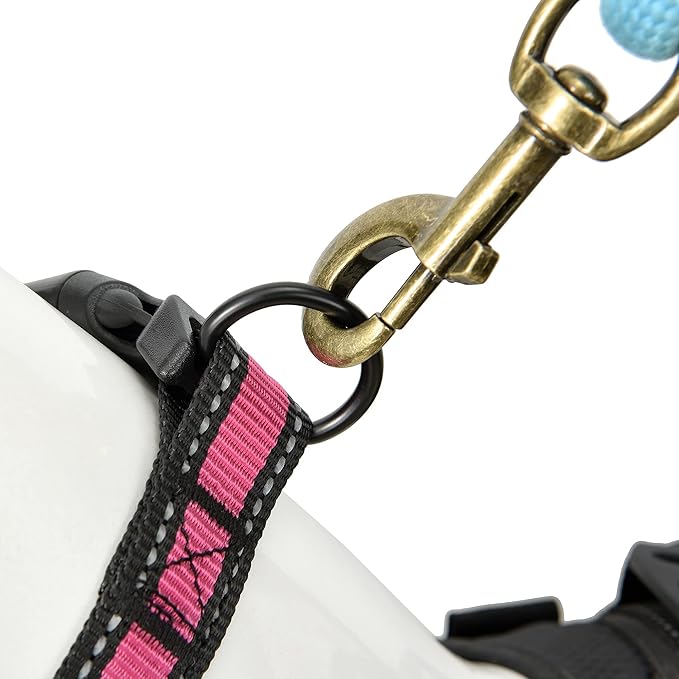 Mile High Life Dog Collar | Nylon Reflective Dog Collars | Light Weight Puppy Collars | Pink Dog Collars for Small Dogs (Pink, Small)