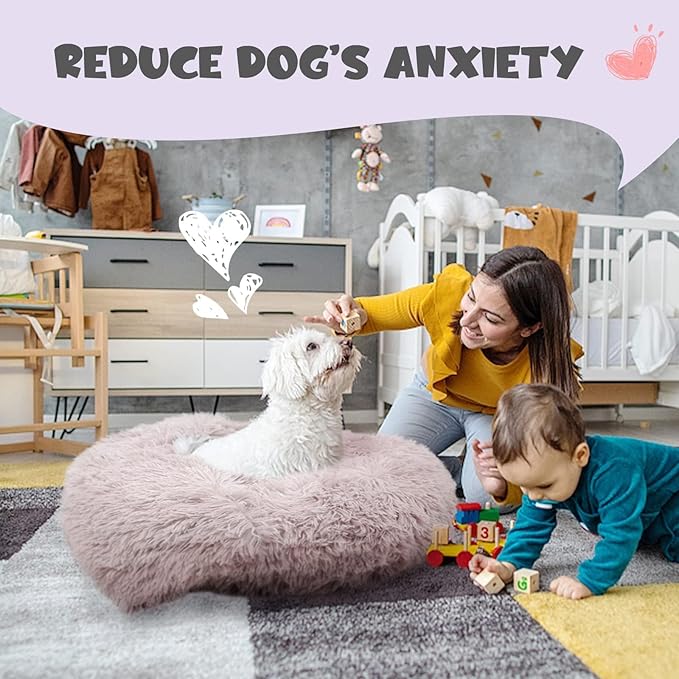 Himax Dog Beds for Large Dogs, Donut Dog Beds with Blanket, Cozy Soft Fluffy Round Dogs Beds, Washable (20"/26"/35") Light Grey