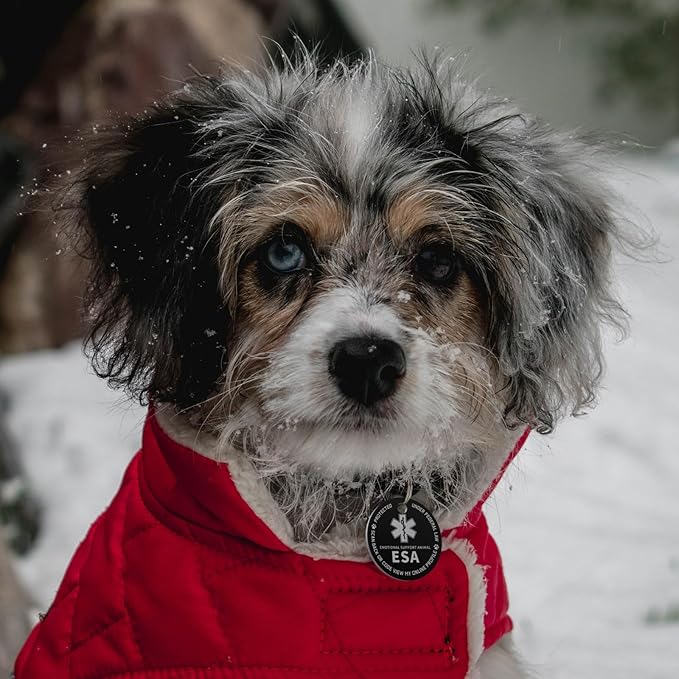 MYLUCKYTAG QR Code ESA Emotional Support Dog ID Tag - Pet Online Profile - Scan QR Receive Instant Pet Location Alert Email