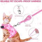 BINGPET Cat Harness and Leash Set Escape Proof for Walking,Step-in Harness with Lightweight Soft Breathable Mesh,Adjustable Easy Control Harness for Kitten Puppy Small Medium Large Cats(Heart,L)