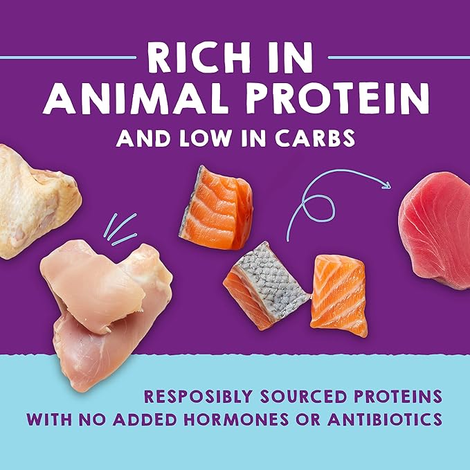 Stella & Chewy's Carnivore Cravings Purrfect Paté - Premium Grain-Free Wet Cat Food - 6 Flavor Variety Pack - High Protein with Bone Broth - Perfect for Picky Eaters - 2.8oz Cans (12 Pack)