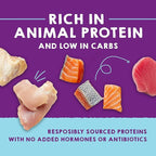 Stella & Chewy's Carnivore Cravings Purrfect Paté - Premium Grain-Free Wet Cat Food - 6 Flavor Variety Pack - High Protein with Bone Broth - Perfect for Picky Eaters - 2.8oz Cans (12 Pack)