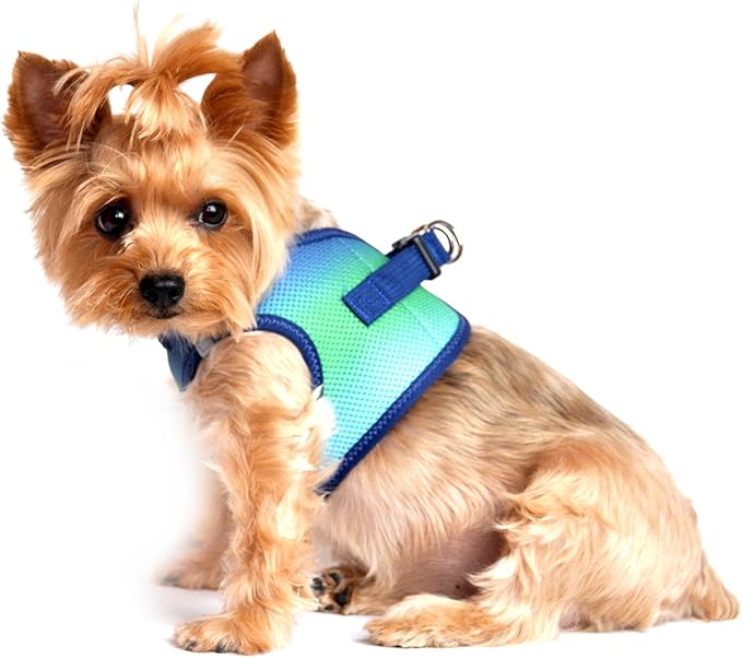 Doggie Design No Choke Dog Harness - Simple Step-in and Go Dog Vest for Small, Medium, and Large Breeds - Breathable Mesh Polyester Pet Harness - Northern Lights - M