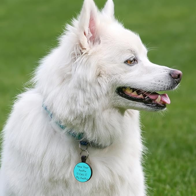 Myluctag QR Code Dog Cat Silicone Digital ID Tag, Online Pet Profile, Pet Location Alert Email