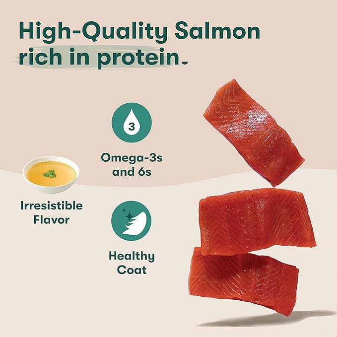 Jinx Premium Wet Dog Food Cans - Salmon Pate - Grain-Free Canned Dog Food Pate & Topper with Real Ingredients & No Fillers - All Life Stages, Breeds & Sizes - 12-Pack, 13 Oz