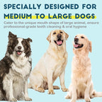 Dog Toothbrush Kit 2 Pack, Ultra Soft Pet Tooth Brush for Medium to Large Dogs, Animal Teeth Brushing Kit for Easy Dental Cleaning