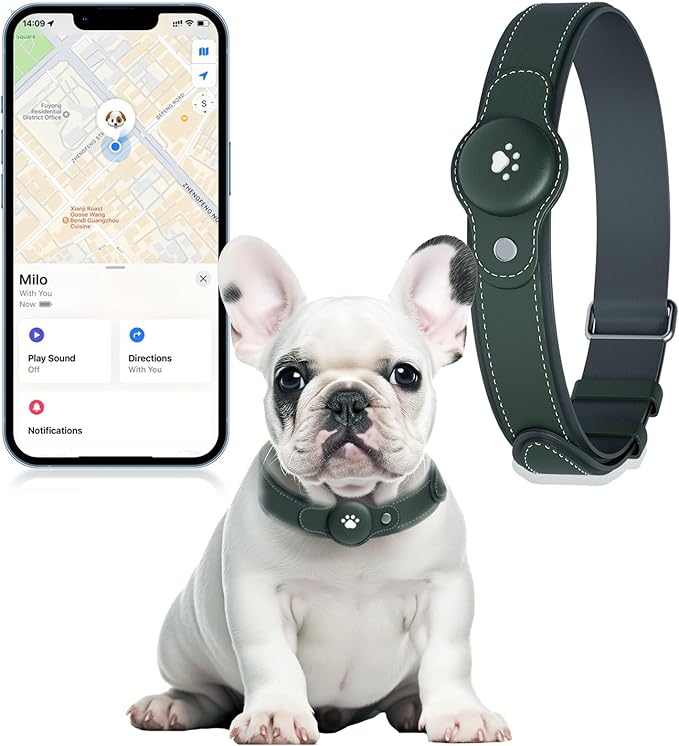 2-in-1 GPS Tracker for Dogs: Smart Collar with Real-Time Location, No Monthly Fee, Unlimited Range (iOS Only) GPS Tracker Dog Collar- Ideal for Small, Medium Large Dogs(Tracker Included) (Green)