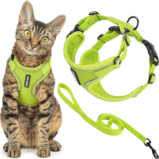 Voyager Escape-Proof Step-in Lock Cat Harness & 5ft Neoprene-Handle Leash Set All-Weather Mesh with Reflective Stitching for Small to Large Cats by Best Pet Supplies, Lime (327), S