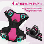 rabbitgoo Dog Harness No Pull with 2 Leash Clips, Adjustable Soft Padded, Reflective Oxford No Choke Pet Vest with Easy Control Handle for Puppy, Hot Pink, XS