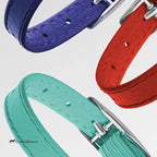 CollarDirect Leather Cat Collar, Kitten Collar with Removable Bell Black Blue Red Orange Lime Green (8-11 Inch, Red)