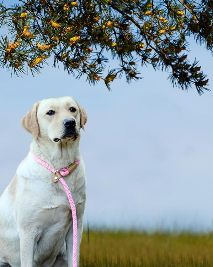 lynxking Dog Leash Slip Lead 5 6 8 FT Dog Training Leash Strong Heavy Duty Braided No Pull Training Lead for Small Medium Large Dogs