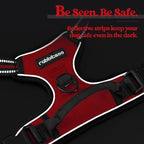 rabbitgoo Dog Harness No Pull with 2 Leash Clips, Adjustable Soft Padded, Reflective Oxford No Choke Pet Vest with Easy Control Handle for Small Dogs, Red, S