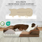 Comfort Expression Medium Dog Beds Waterproof Orthopedic Foam Dog Sofa Beds for Medium Large Dogs Comfy Pet Bed with Washable Removable Cover & Non-Slip Bottom(Medium,Brown)