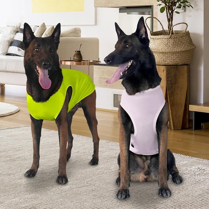 2 Pack Dog Shirts, Ice Pet Vest Dog Clothes for Instant Cooling, Lightweight Breathable Sleeveless T-Shirts for Large Dogs, Light Purple+Fluorescent Green (2XL)
