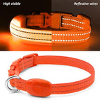 Light Up Dog Collar - Rechargeable LED Dog Collar, Adjustable Reflective Puppy Collar, Glowing Safety Dog Lights for Small Breeds Dogs Cats (Orange)