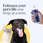 Honest Paws Salmon Oil for Dogs and Cats - Omega 3 Wild Alaskan Salmon Fish Oil - Healthy Skin, Joints, Nutritional Support, Shiny Coat - Fatty Acid, Pollock Oil - Sustainably Sourced - 8 Oz