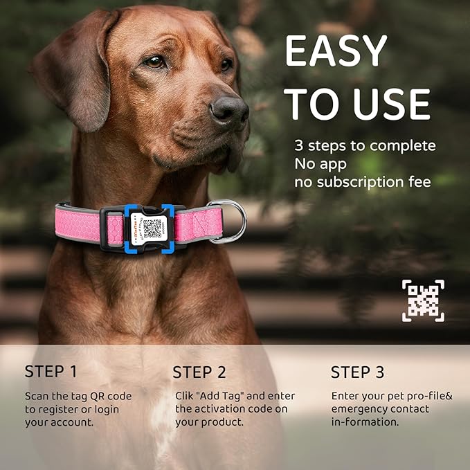 Personalized Dog Collar with QR Code tag for pet ID, Reflective Safety Collar, Suitable for Small, Medium, and Large Dogs (Pink, Medium)