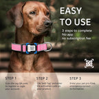Personalized Dog Collar with QR Code tag for pet ID, Reflective Safety Collar, Suitable for Small, Medium, and Large Dogs (Pink, Small)