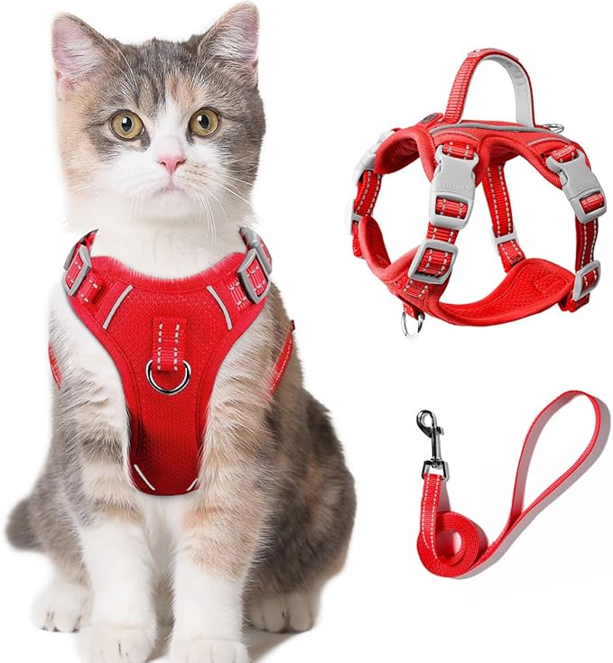 Cat Harness and Leash Set for Walking Escape Proof for Small Large cat Kitten Harness with ID tag Pocket (Red,XXS)