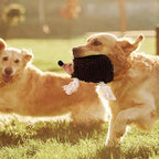 Dog Squeaky Toys for Dogs - Hedgehog Mop Plush Interactive Rope Toy, Durable Chew Toy with Squeaker and Crinkle for Small to Large Dogs, Tug of War Pet Toy for Puppies & Aggressive Chewers