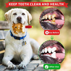 Birthday Squeaky crinkly Cake Aggressive chew for pups Sandwiches Pizza Party Dog Toy Colorful Playset to Keep Your Furry Friend Busy with 3 Pack Gift Toys