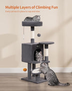 FourFurPets Small Cat Tree, Multi-Level Cat Tree for Indoor Cats, Cat Tower with Scratching Post, Cat Condo for Kittens, Dark Gray