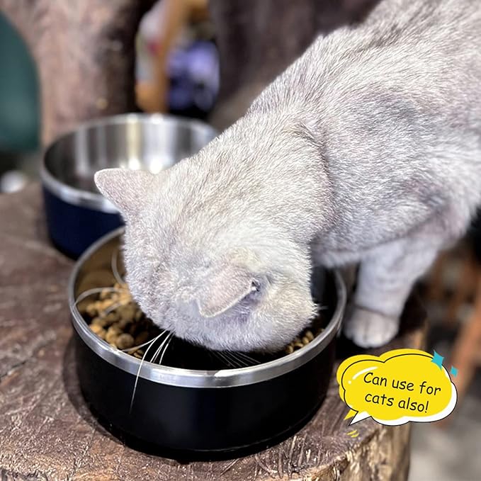 LIHONG Stainless Steel Dog Bowls for Small Medium Sized Dogs Non Slip,Insulated Dog Bowl,Pet Bowl for Food and Water,Rustproof(40oz,Black)