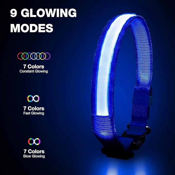 Pceotllar Light Up Dog Collar, Rechargeable Led with Automatic 7-Color Changes, Water Resistant for Night Walking, Bright Glow Collar (Blue, S)