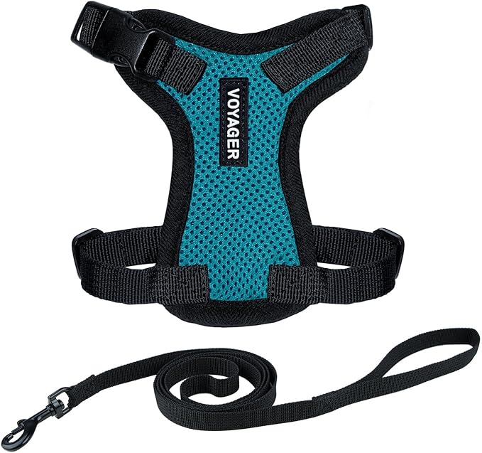 Voyager Step-in Lock Cat Harness and Reflective Cat Leash with Neoprene Handle by Best Pet Supplies - Supports Small, Medium and Large Breed Cats, Turquoise/ Black Trim, size S - 5ft