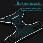 rabbitgoo Dog Harness No Pull with 2 Leash Clips, Adjustable Soft Padded, Reflective Oxford No Choke Pet Vest with Easy Control Handle for Small Dogs, Blue Coral, S