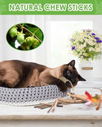 TINDTOP 12 Pack Chew Sticks for Cats, Natural Silvervine Catnip Toys for Kittens Teeth Cleaning, Matatabi Dental Care, Increase Appetite, Calm Cat Anxiety and Stress, Cat Dental Toy