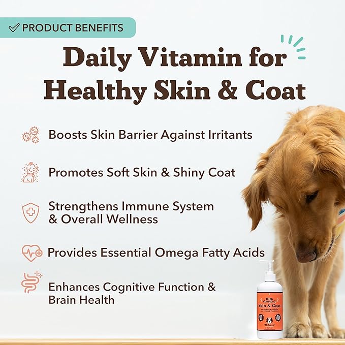 Natural Dog Company Skin & Coat Oil (16 oz.), Supports Skin Health, Fish Oil Supplements for Dogs, Soft Coat, Fish Oil & Flaxseed Oil, Fatty Acids, Bottle of Dog Fish Oil with Pump, Antioxidant
