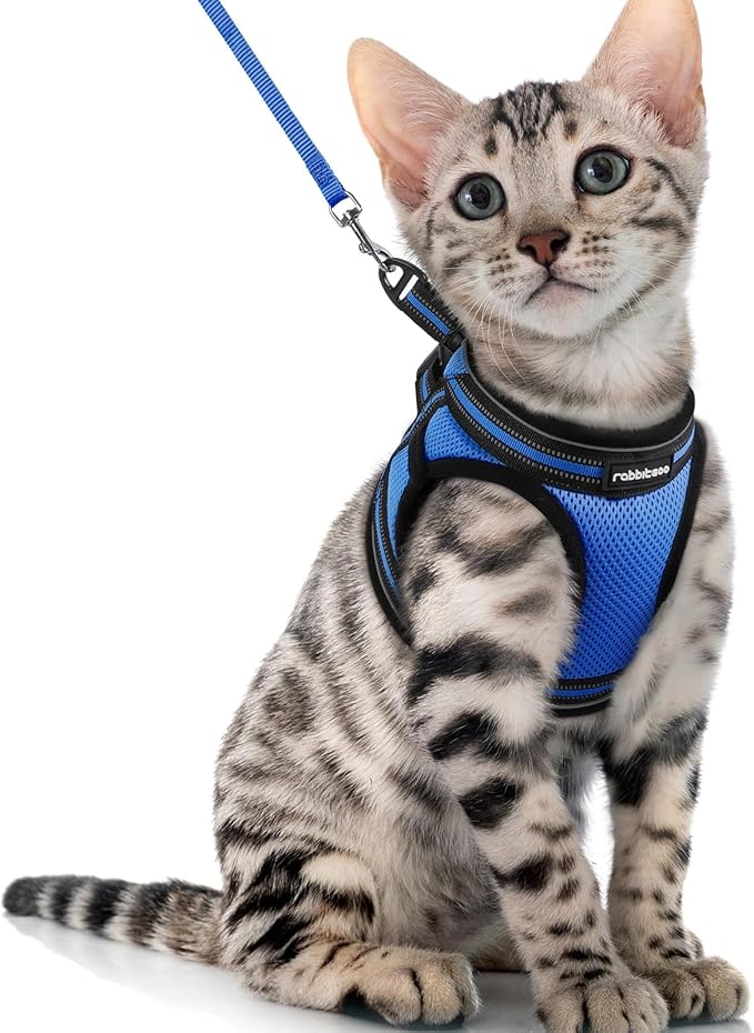 rabbitgoo Cat Harness and Leash Set for Walking Escape Proof, Adjustable Soft Kittens Vest with Reflective Strip for Cats, Comfortable Outdoor Vest, Blue, XL