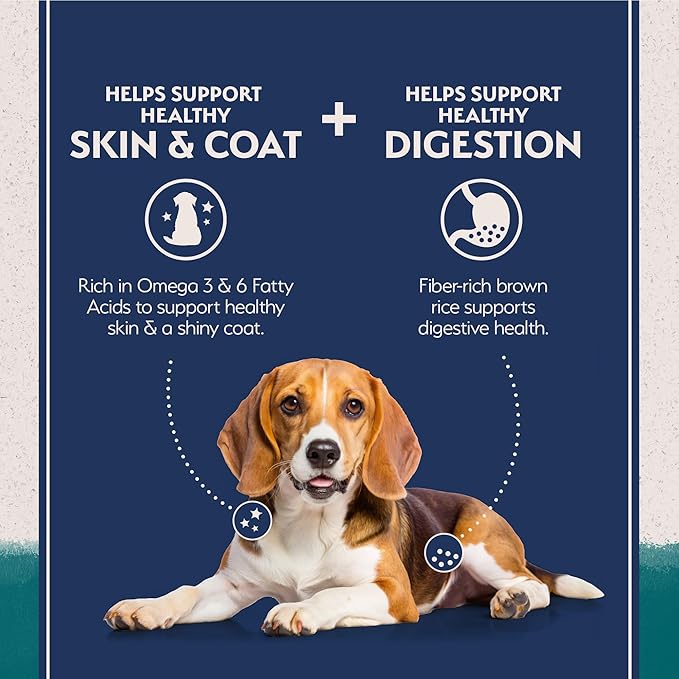 Natural Balance Limited Ingredient Adult Dry Dog Food with Healthy Grains, Chicken & Brown Rice Recipe, 12 Pound (Pack of 1)