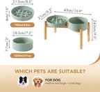 Ceramic Raised Slow Feeder Dog Bowl Set, Elevated 7.3inch Bowl and 8.2inch Slow Pet Food Dish with Wooden Stand for Medium and Large Dog (2 x Light Green+ Stand)