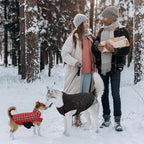 Kuoser Waterproof Dog Coat, Reversible Dog Jacket for Large Dogs, Adjustable Durable Doggie Winter Coat for Groowing Puppies Warm Puppy Cold Weather Apparel, Bright Red L