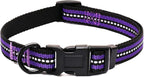 Mile High Life Reflective Dog Collar | Nylon Pet Collars wiith Buckle | Light Weight Puppy Collars | Purple Dog Collars for Small Dogs (Purple, X-S)