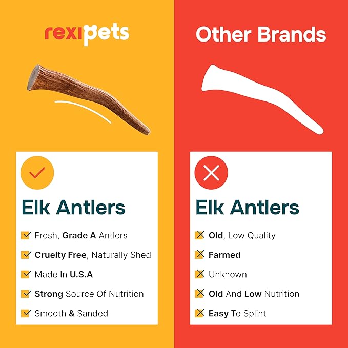 100% Natural - Elk Antlers for Dogs - Naturally Shed in USA - Dog Antler Chews for Medium Breeds - Natural, Long-Lasting Treats for Aggressive Chewers - Dog Chews - No Smell & No Mess - Medium