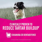 EUKANUBA Adult Large Breed Dry Dog Food, 40 lb Bag