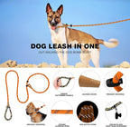 lynxking Slip Lead Dog Leash Reflective, Heavy Duty Comfortable Strong Rope for Large Medium Small Dogs No Pull Pet Training (Orange, Small 3/8in x 6ft-Slip Lead)