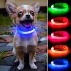 Light Up Dog Collar for Small Dogs, Reflective LED Dog Collar Rechargeable Puppy Collar Glowing Cat Collars Safety Dog Lights for Night Walking (Royal Blue)