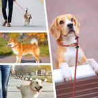 lynxking Slip Lead Dog Leash Reflective, Heavy Duty Comfortable Strong Rope for Large Medium Small Dogs No Pull Pet Training (Red, Large 1/2in x 6ft-Slip Lead)