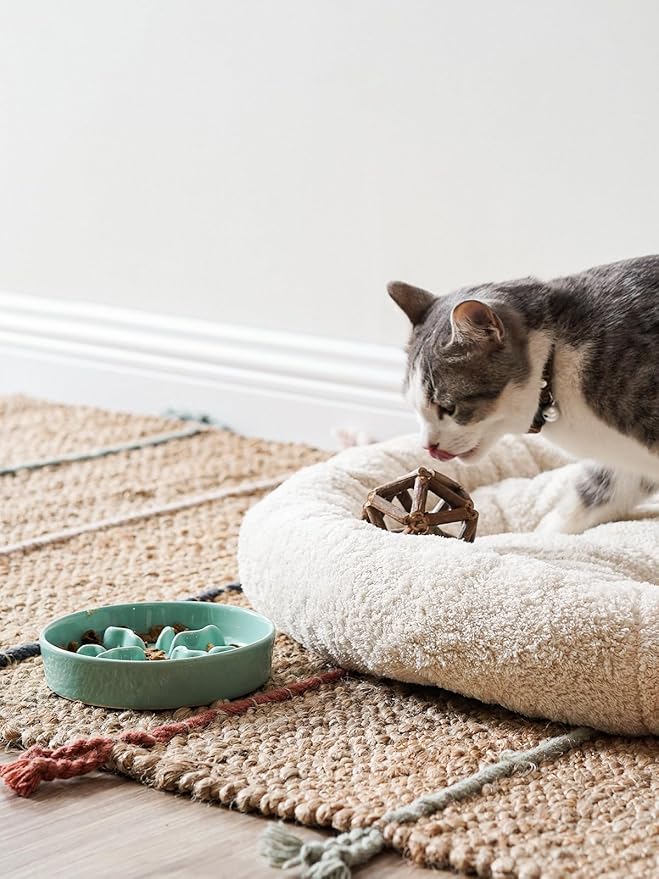 Ceramic Slow Feeder Dog Bowls Small Breed, 0.5 Cups Dog Food Dish for Fast Eaters, Puzzle Bowl for Small Dogs and Cats, 5.5 Inch-Turquoise