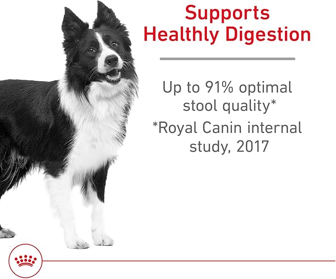 Royal Canin Medium Digestive Care Dry Dog Food, 30 lb bag