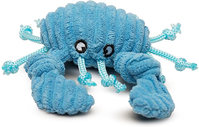 HuggleHounds Wee Huggles Plush Dog Toys - Dog Stuffed Animal Toys, Squeaky Puppy Plush for Small and Medium Sized Dogs, Durable and Interactive to Keep Them Busy - Raw Bar Wee Huggles (3 Count)