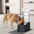 RIZZARI Large Water Dispenser for Dogs: 8L Gravity Black Automatic Stainless Steel Waterer - 100% BPA Free - Raised Pet Feeder for Pet Dogs Indoor/Outdoor